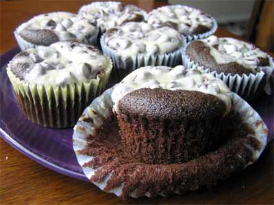 Black Bottom Cupcakes