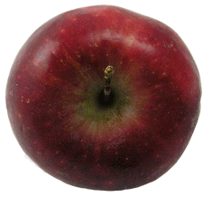 gluten free apple
